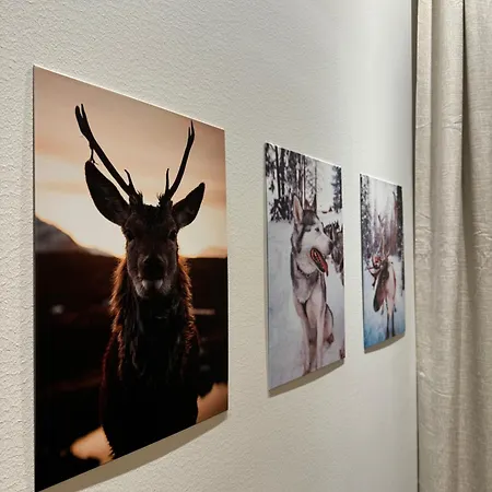 Apartamento Luxury With Private Jacuzzi And 2 Passes In Levi! Levi