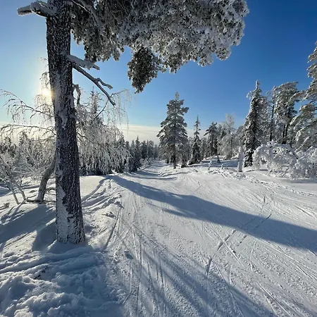 Apartamento Luxury With Private Jacuzzi And 2 Passes In Levi! Levi