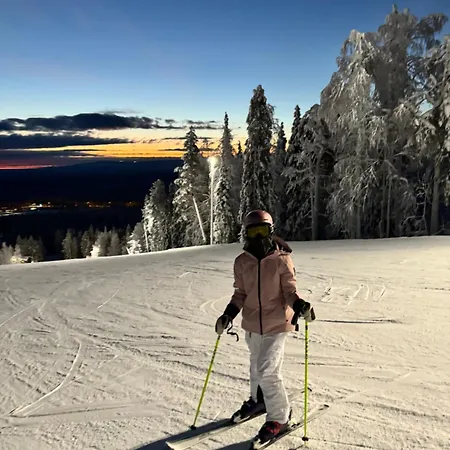 Luxury With Private Jacuzzi And 2 Passes In Levi! Lägenhet