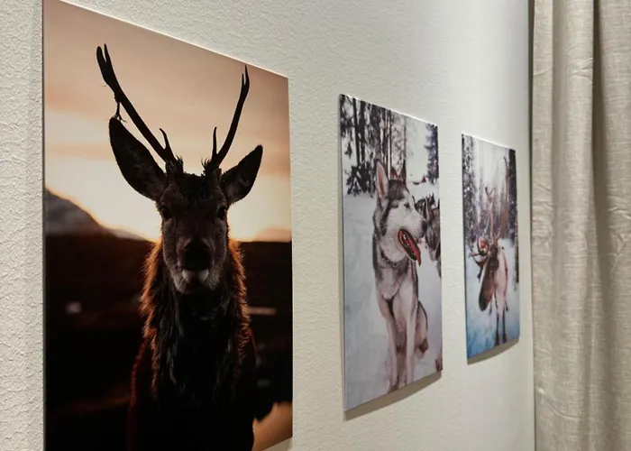 Lägenhet Luxury With Private Jacuzzi And 2 Passes In Levi! Levi