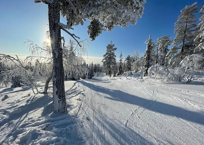 Lägenhet Luxury With Private Jacuzzi And 2 Passes In Levi! Levi