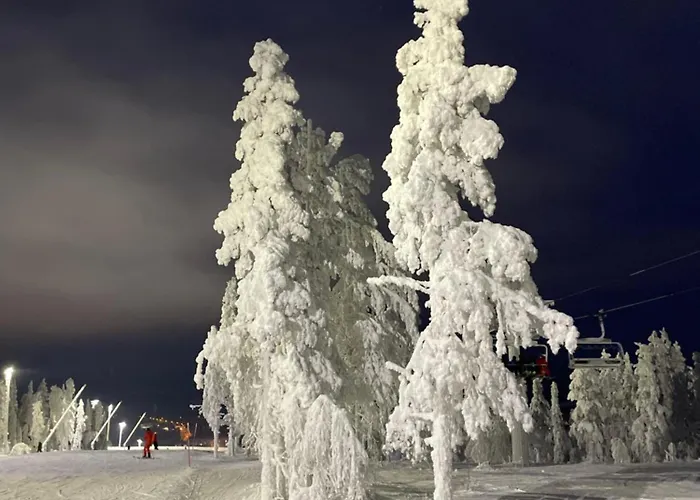 Luxury With Private Jacuzzi And 2 Passes In Levi!